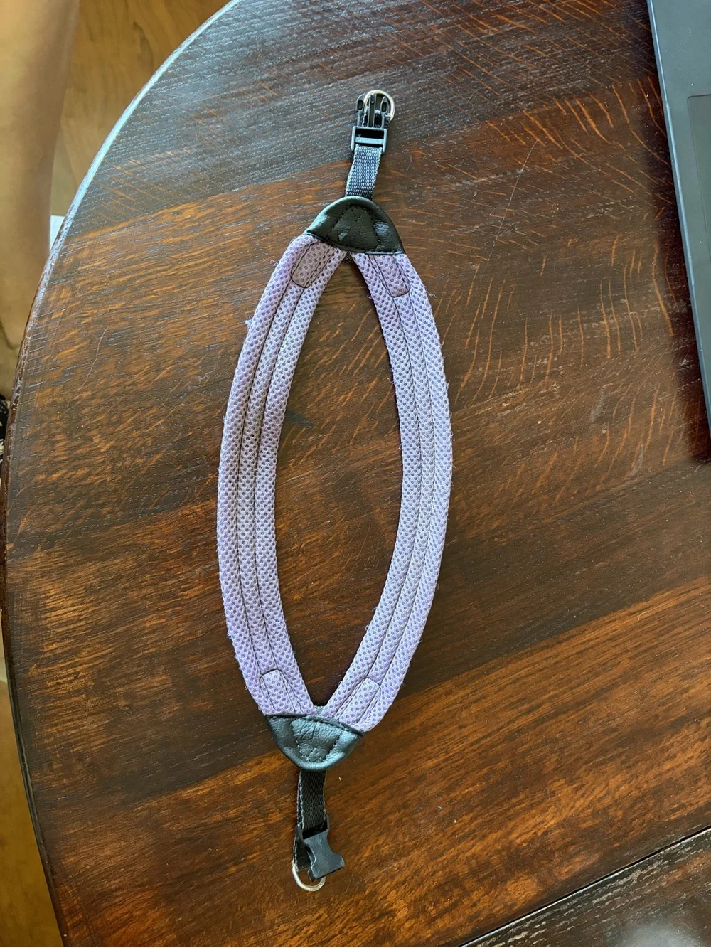 Purple Dog Harness with Padded Mesh and Secure Buckle